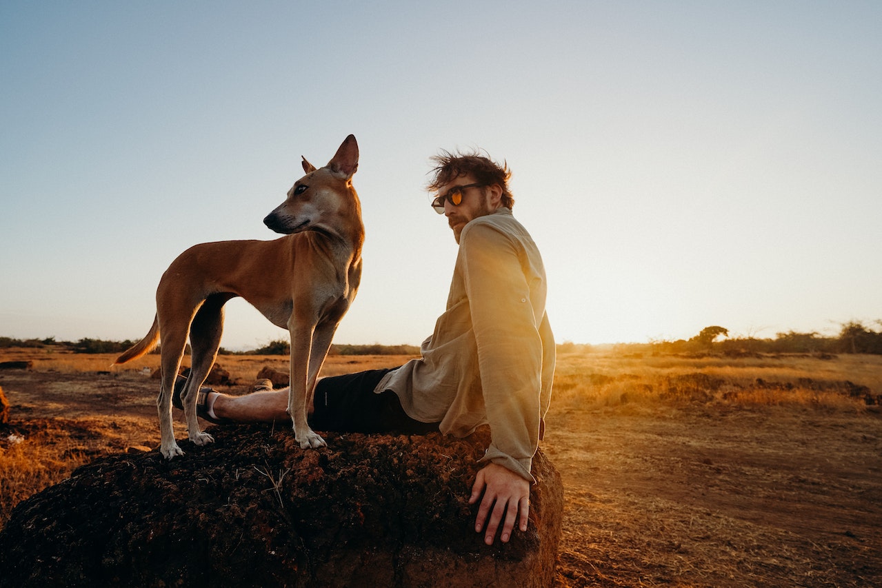 Man enjoying rural tourism with his dog.