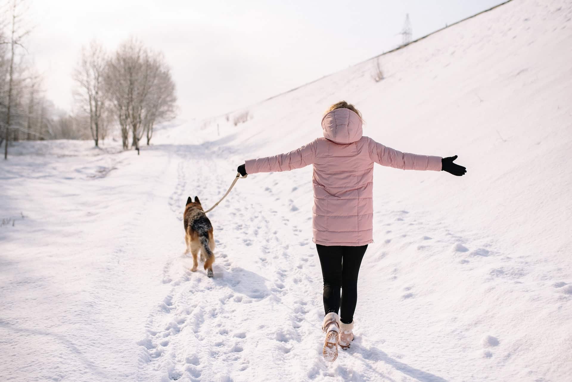 Woman seen from behind taking a walk with her dog in the snow.